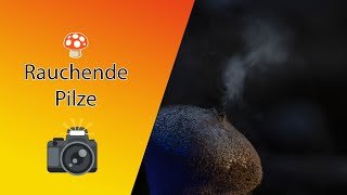 Rauchende Pilze im Herbst - Igelstäublinge und Ihr geheimes Fototalent