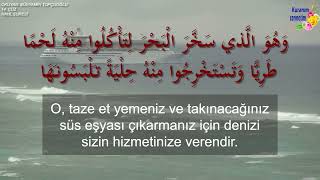 Allah, onların ortak koştukları şeylerden uzaktır, yücedir.  (Nahl, 1-18)