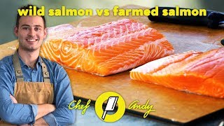 Wild Salmon vs Farmed Salmon // Chef Andy