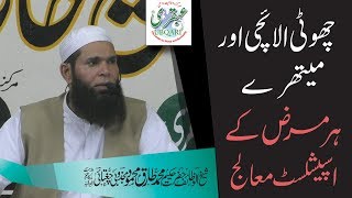 Choti Elaichi or Methray Har Marz Ky Specialist Moalij -- Sheikh ul Wazaif