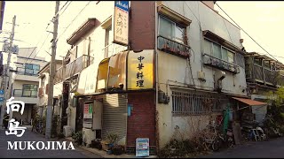 Just Walk in Tokyo MUKOJIMA - 墨田区 向島 - 4K HDR - 200kcal