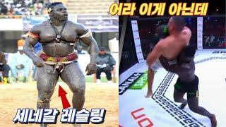 인간이야 고릴라야? 유도 기술을 힘으로 뽑아버린 세네갈 레슬링, 세네갈 레슬링 vs 유도 MMA 대결 [한결TV]