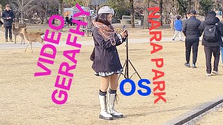 素敵なビデオ Nara Park tourist deer lovers food eating and video GERAFHY all deer love 💕 Wonderful video 🦌