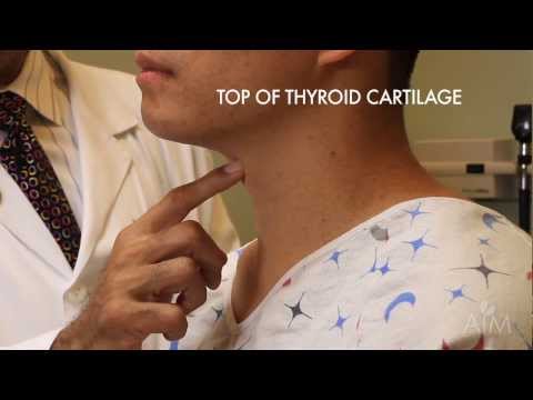 The Thyroid Exam (Stanford Medicine 25) The Thyroid Exam (Stanford Medicine 25)