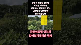 계절별 끈끈이 트랩을 이용한 해충방제 방법