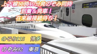 【2024お盆・東海道新幹線台風7号計画運休の翌日の岡山駅】同じ11時40分発のぞみ92＆のぞみ115在来線接続待ちで同時発着！