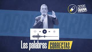 Dosis Diaria Roka - Las palabras correctas