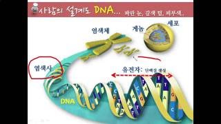 창조과학세미나 - 3. 사람의 설계도 DNA (김종만 교수)