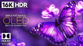 Most Incredible 16k Hdr Video Ultra Hd 240 Fps Dolby Vision 4k 8k Tv By