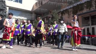 みちのく乱舞 （総踊り）／トレッサ横浜（南棟）／東日本大震災よさこい応援団チャリティイベント