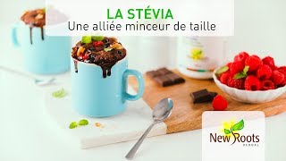 La stévia: un alliée minceur de taille!