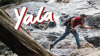 Yala - Once as a Tourist