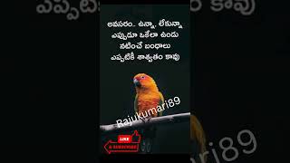 avasaram unnapudu అవసరం ఉన్నప్పుడు #viral #story #background #story