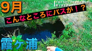 【霞ヶ浦バス釣り】こんなところにバスが！？秋の始まり