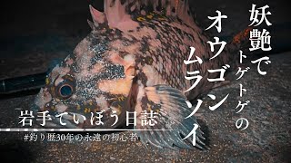 【釜石市】レア魚\u0026冬将軍が降臨　氷点下のシャローエリアで多魚種を釣る