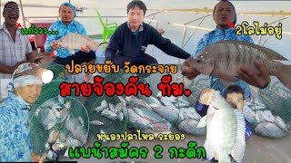 ตกปลาแพน้าสมัคร2.กับทีมสายจ้องคัน.วัดกระจาย.#ตกปลานิล #ตกปลาหนองปลาไหล #สูตรเหยื่อตกปลานิล