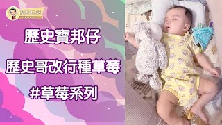 #138 歷史寶邦仔 歷史哥改行種草莓 #草莓系列 【歷史哥生活。第一三八篇】#歷史寶邦仔 #BABY #親子互動 #可愛 #寶寶 #親子 #互動 #陪伴 #手舞足蹈 #開心 #父子 #草莓 #摘種