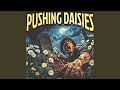 Pushing Daisies