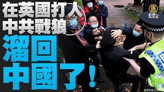 🔥在英國打人中共戰狼 溜回中國了！｜規模6以上地震今年已12次 創921後新高｜魏哲家連2個月加碼400張台積股票｜檢調搜索高虹安新竹與北市內湖住家｜#新唐人晚間新聞｜20221215