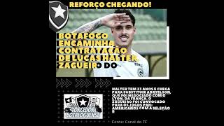 Noticias do Botafogo: Botafogo encaminha contratação de Lucas Halter, zagueiro do Athletico-Pr