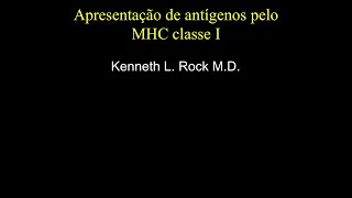 Kenneth L. Rock - MHC I antigen presentation or cross presentation