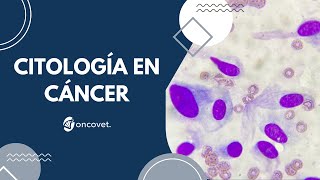 Citología en Cancer de Mascotas