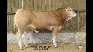 SR143 -  SANSON -  DIF