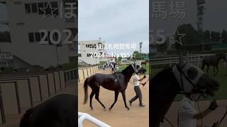 ☆ほぼ札幌競馬場2024☆No.155☆7月27日.札幌.12R☆ #horse #サラブレッド #馬 #競馬場 #札幌競馬場