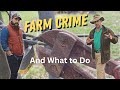 How to Stop Farm Theft: Expert Crime Prevention Tips