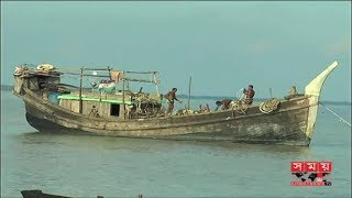 আবারো জাটকা ধরার ওপর নিষেধাজ্ঞা