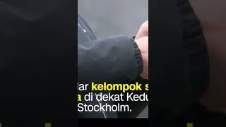 pembakaran Alquran Swedia