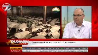 Tarımın Nabzı 29.bölüm 27.06.2013 Konu: Küçükbaş hayvancılık