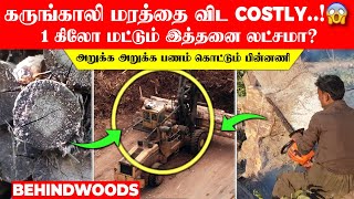 கருங்காலி மரத்தை விட Costly..! 1 கிலோ மட்டும் இத்தனை லட்சமா? அறுக்க அறுக்க பணம் கொட்டும் பின்னணி