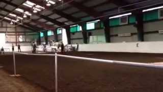 Herrmanns' Royal Lipizzan Stallions