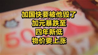 加国快要被他毁了！加元暴跌至四年新低 物价要上涨