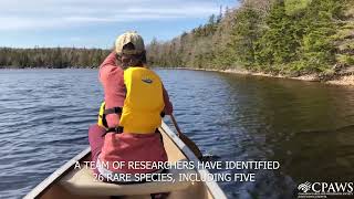 Archibald Lake Wilderness Area