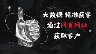 拓客系统，大数据获客系统，精准营销，DZ平台讲解，客户资料，讲解我们D怎么通过网页网站获取客户资料，从而来获取 客户资料，官网：https://www.dizdata.com   #大数据 #精准营销