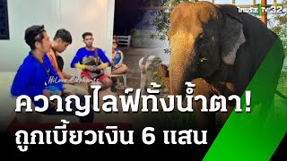 ควาญช้างไลฟ์แฉ ถูกเบี้ยวค่าจ้าง 6 แสน ผู้ว่าฯ สั่งสอบ | 2 ธ.ค. 67 | ข่าวเช้าหัวเขียว