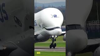 Awesome Beluga Take Off! ✈️