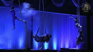 Aerial Silks Performance - The great wave of Kanagawa - December 2022