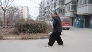 Shang Xing Yi Quan - Ba Shi Quan