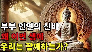 부부 인연의 신비: 왜 이번 생에 우리는 함께하는가? | #불교 #불가 #불법 #불학지식 #불학지혜 #수심수행 #불교문화  #전통문화