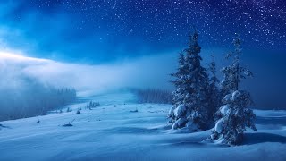 Relaxing Piano Music - Sleep Music, Stress Relief, Winter Photos, Study Music (Lydia)