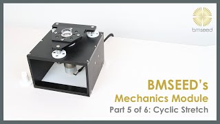 Mechanics Module: Part 5 of 6 - Cyclic Stretch | BMSEED