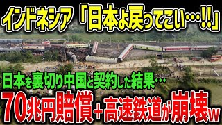 【海外の反応】インドネシアが日本車両の輸入禁止！！→中国と手を組み自国で車両生産するも、ポンコツすぎて高速鉄道が完全崩壊ｗｗ