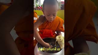 สามเณรน้อยกินข้าวกับกล้วย:โครงการบรรพชาสามเณร และบวชศีลจาริณี ภาคฤดูร้อน ณ วัดป่าธรรมวงศาราม