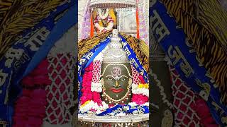 #Mahakal Aaja Aaj Sandhya Kali Shankar Ji ke darshan #shorts #sapnasinghal