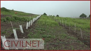 Straight to Martuni: Tatul’s Fruit Tree Orchard / Թիմը գնում է Մարտունի․ Թաթուլի մրգատու այգին