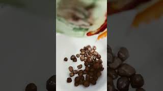 Dropping MONIEGO Gummy Tamarind Candies satisfying sounds #viral