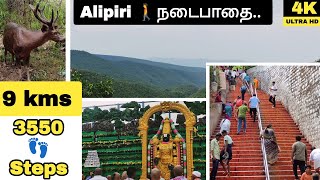 திருப்பதி To திருமலை  | அலிபிரி நடைபாதை 🚶| Alipiri foot path👣 | walking route | Tripathi to Trimala